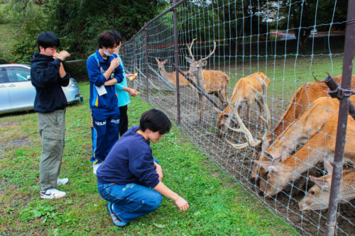 理学1年秋の遠足23_イメージ